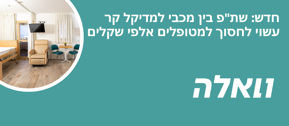 כתבה בוואלה